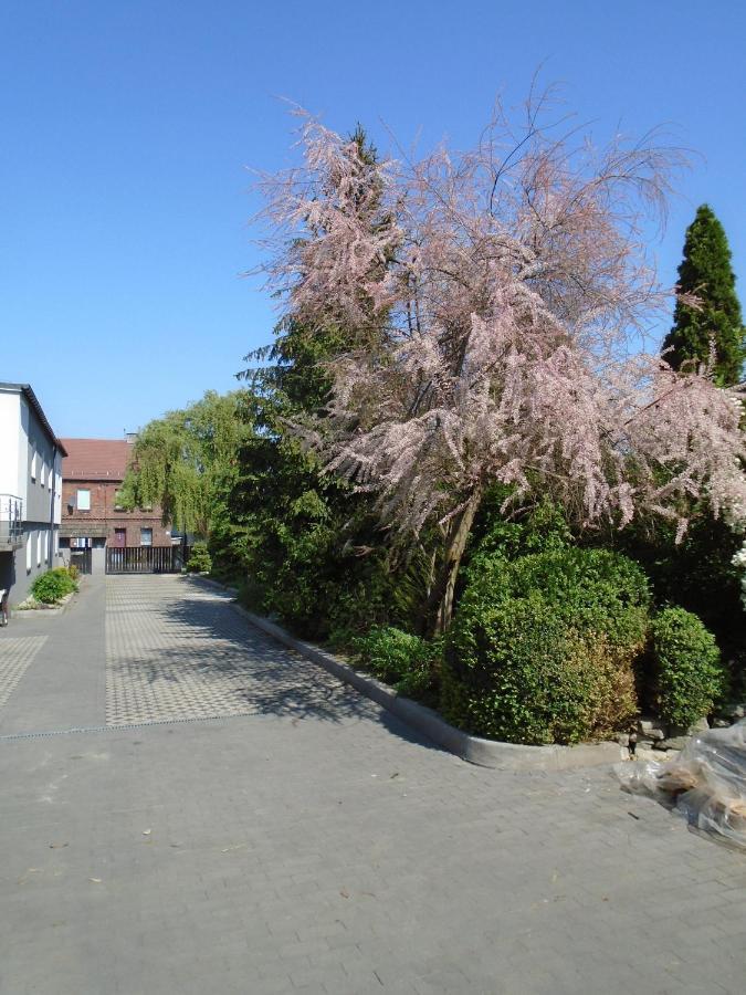 Villa Art Korab Gliwice Exteriör bild